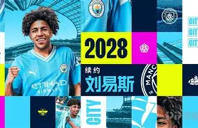 鬼灭之刃日轮刀大全